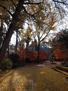 b0080342_11013520.jpg