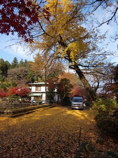 b0080342_11053326.jpg