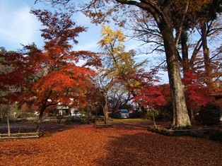 b0080342_11081157.jpg