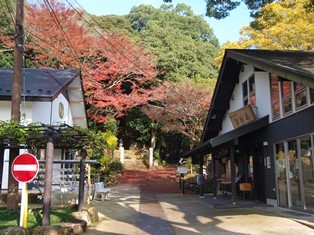 b0080342_11400801.jpg