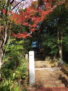 b0080342_11430240.jpg