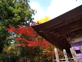 b0080342_11530862.jpg