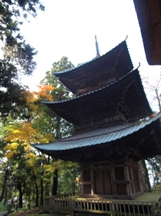 b0080342_11551223.jpg