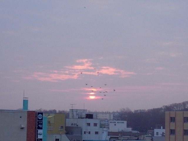 d0350542_21482346.jpg