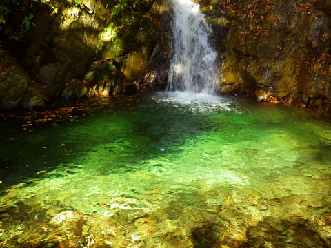 f0053342_1016401.jpg