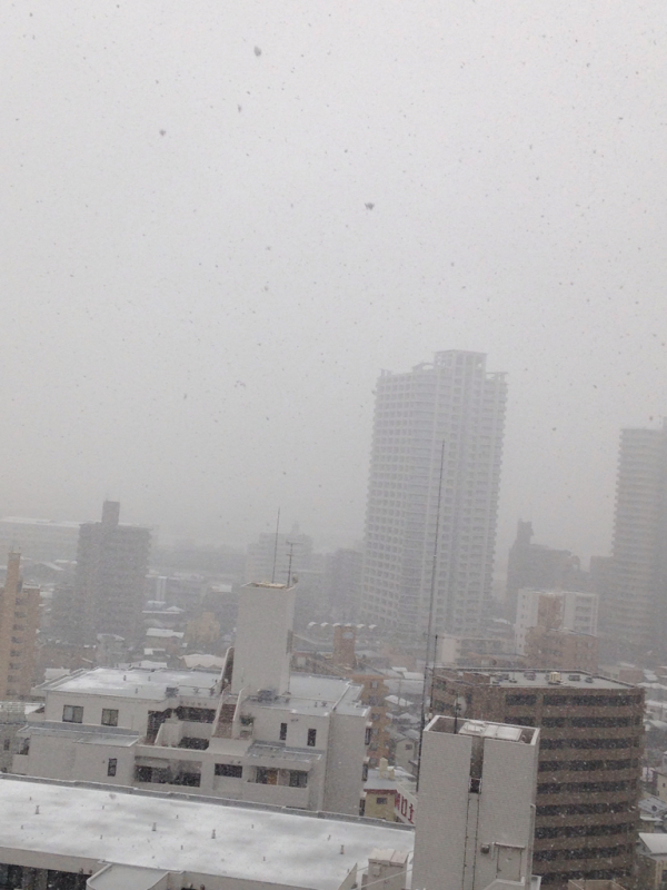 f0370147_10160729.jpg