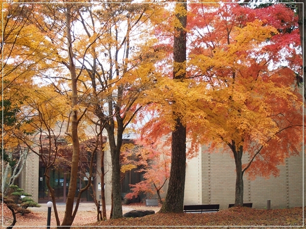 d0013149_00213878.jpg