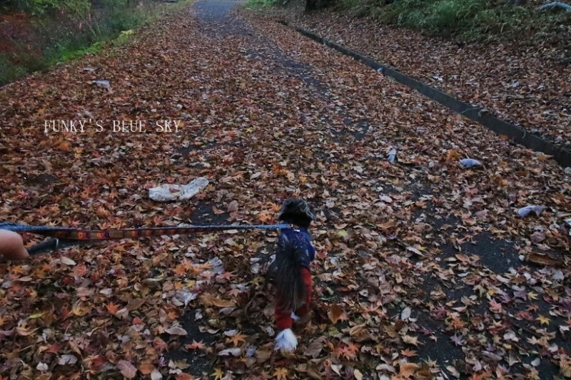 c0145250_10585696.jpg