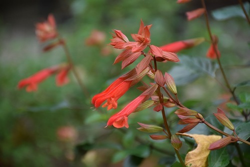 f0343750_21345057.jpg