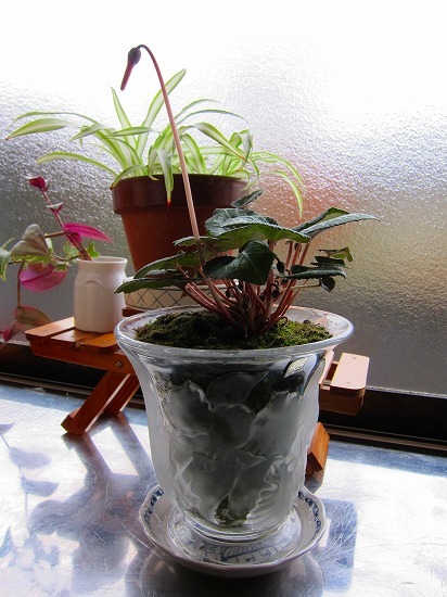 c0327752_14102252.jpg