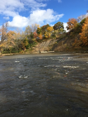 c0325354_15170322.jpg
