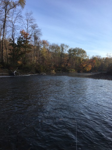 c0325354_15173324.jpg