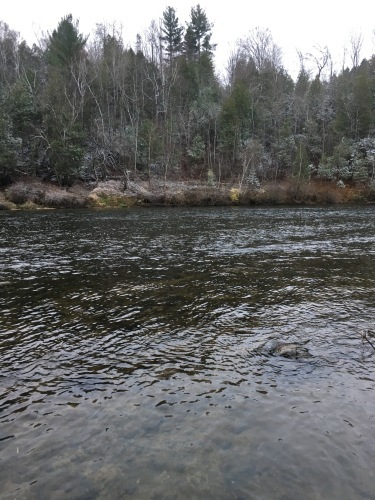 c0325354_15194477.jpg