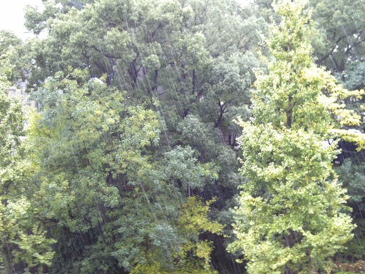 f0055956_843063.jpg