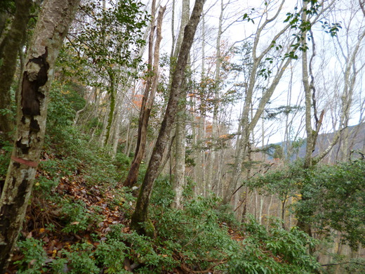 d0231858_15414367.jpg