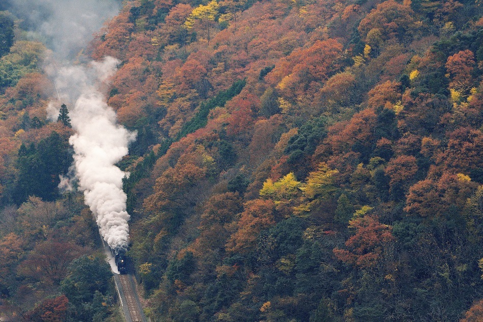d0336159_21365448.jpg