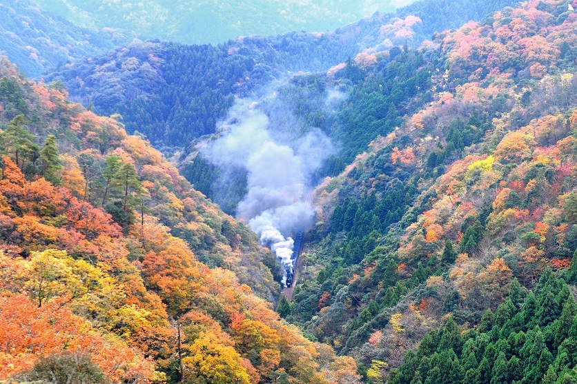 d0336159_22303490.jpg