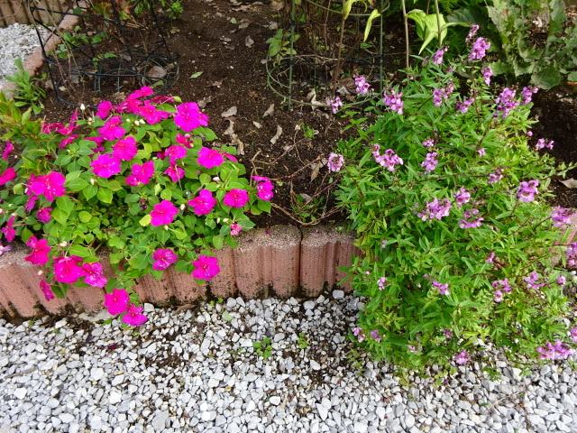 a0241761_12234190.jpg