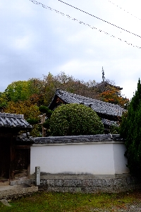 f0035962_1032477.jpg