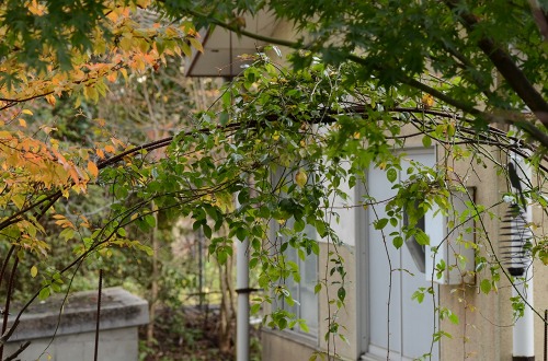 c0186463_037511.jpg