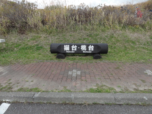 d0029363_8452235.jpg
