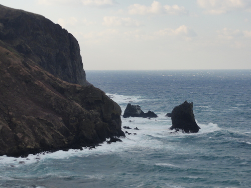 d0029363_8465790.jpg
