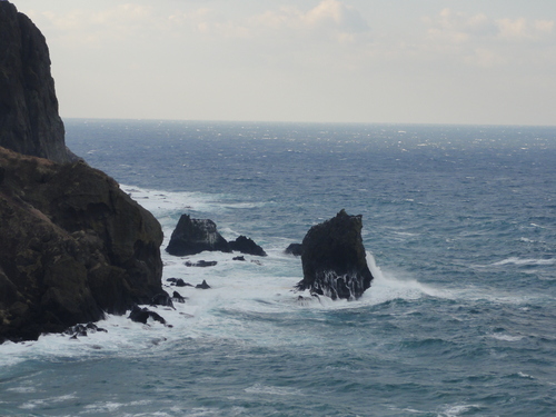 d0029363_847789.jpg