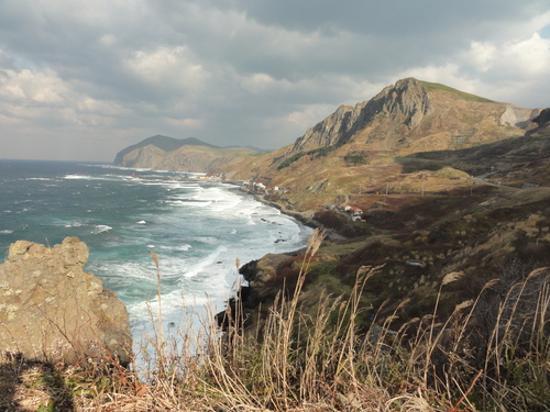 d0029363_8494870.jpg