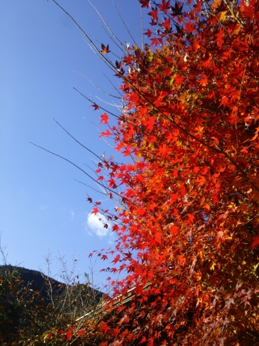a0232573_15282790.jpg