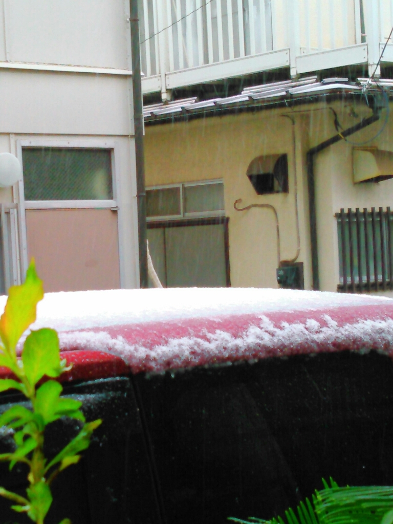 c0162773_10422919.jpg