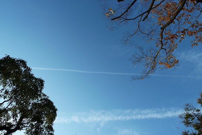 b0326576_14494069.jpg
