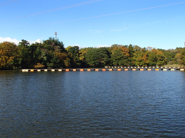 a0093677_21572728.jpg
