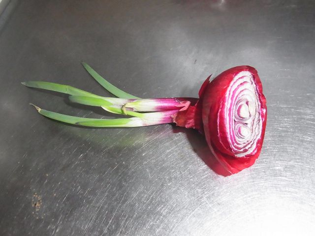 e0148077_20393339.jpg