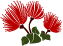 a0262183_13213558.gif