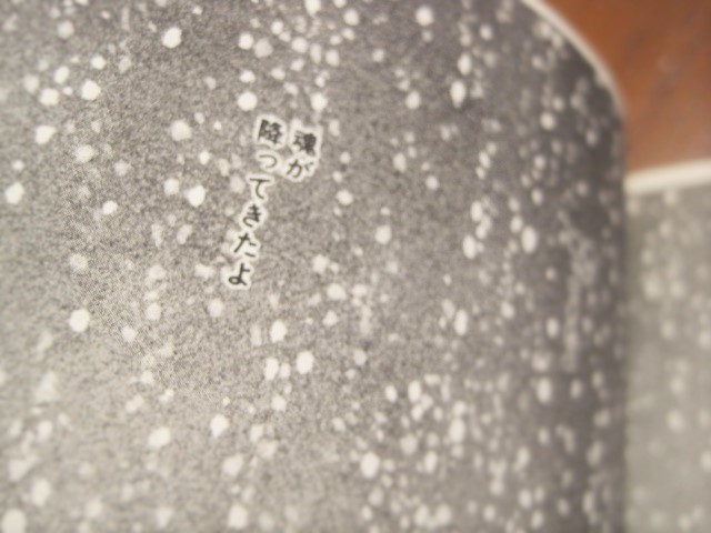 c0084183_1056376.jpg