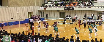 f0003283_10091849.jpg