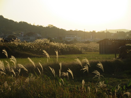 f0053885_19184761.jpg