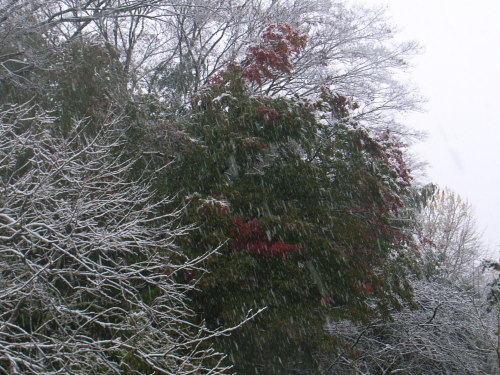 a0157088_12143233.jpg