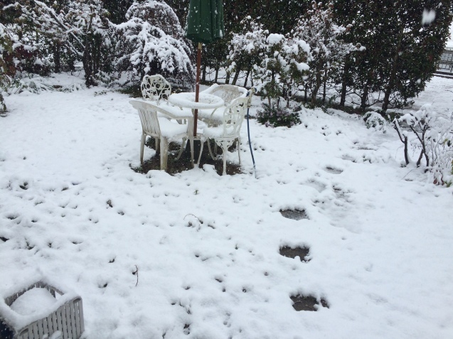 a0263388_12034911.jpeg