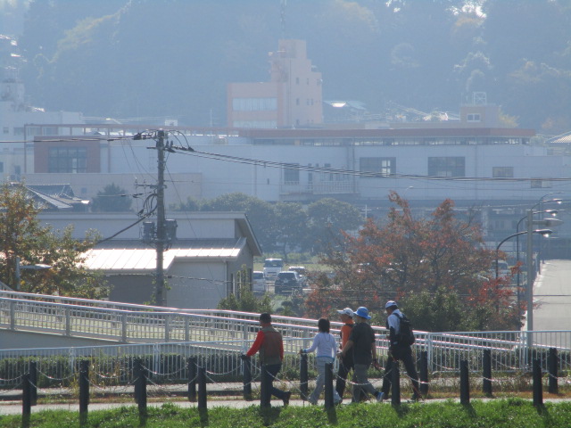 d0198793_18421712.jpg