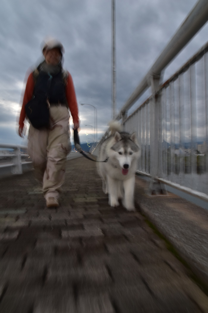 c0049299_22214329.jpg