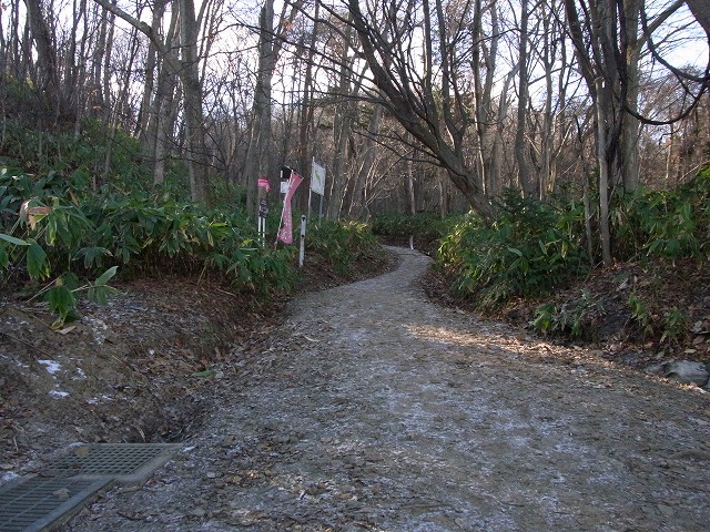 f0157901_19293931.jpg