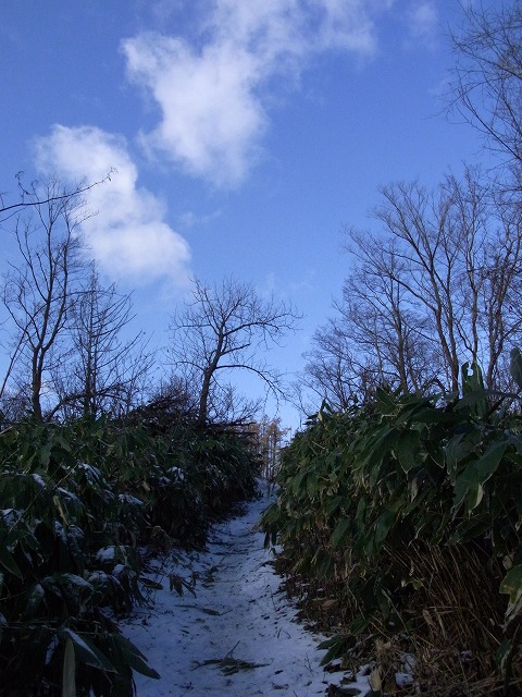 f0157901_19311375.jpg