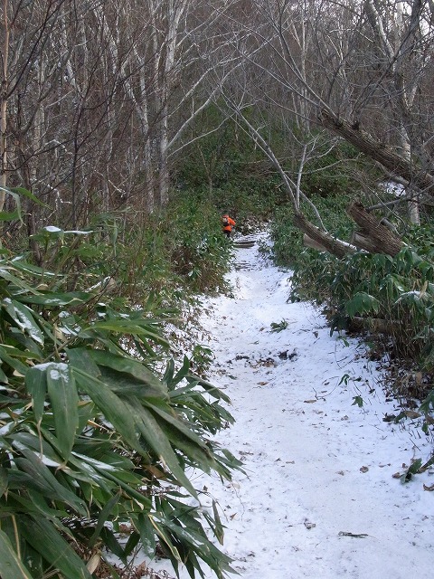 f0157901_19315839.jpg