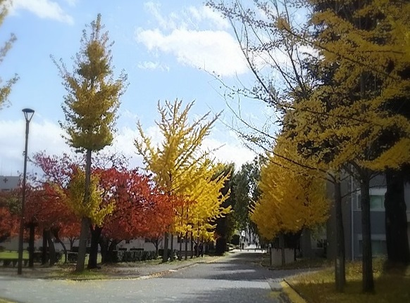 e0347508_17140673.jpg