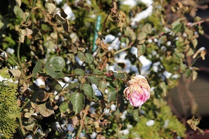 f0325309_10165321.jpg