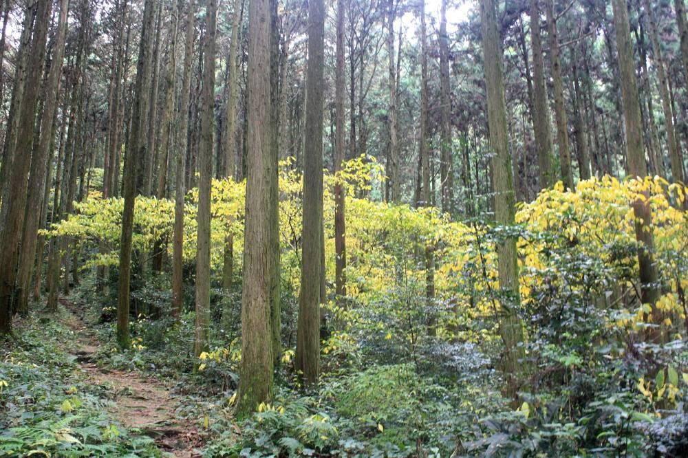 f0212511_21315404.jpg