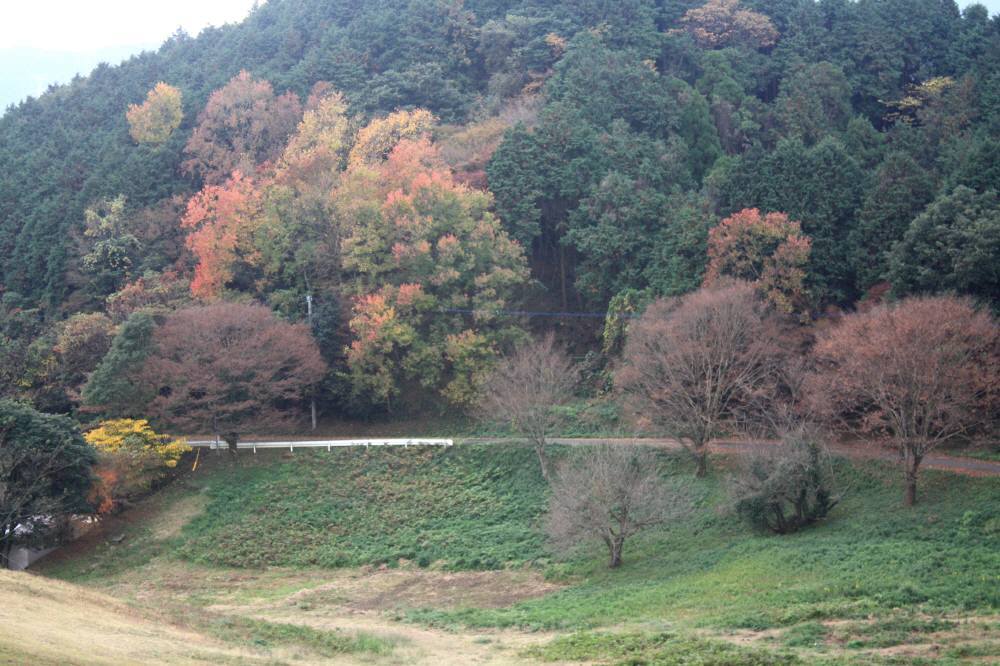 f0212511_21323555.jpg