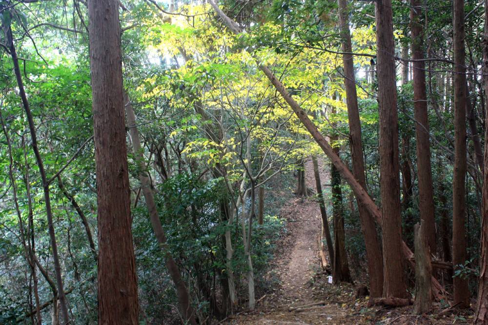 f0212511_21330749.jpg