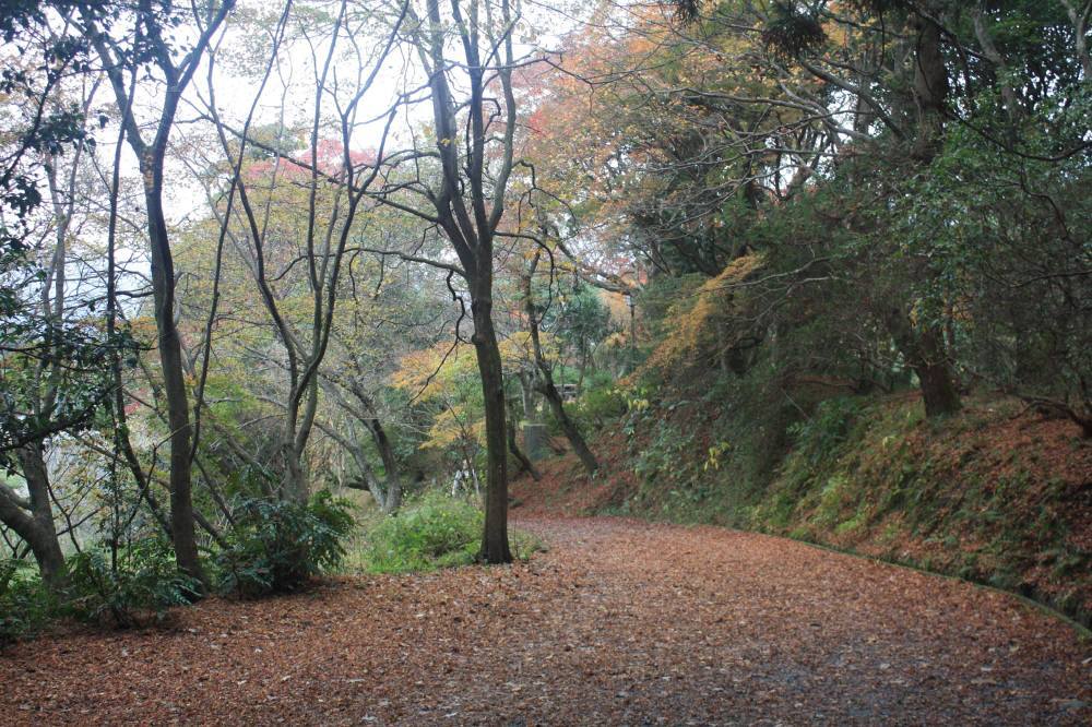 f0212511_21333488.jpg